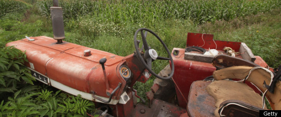Young People Farming