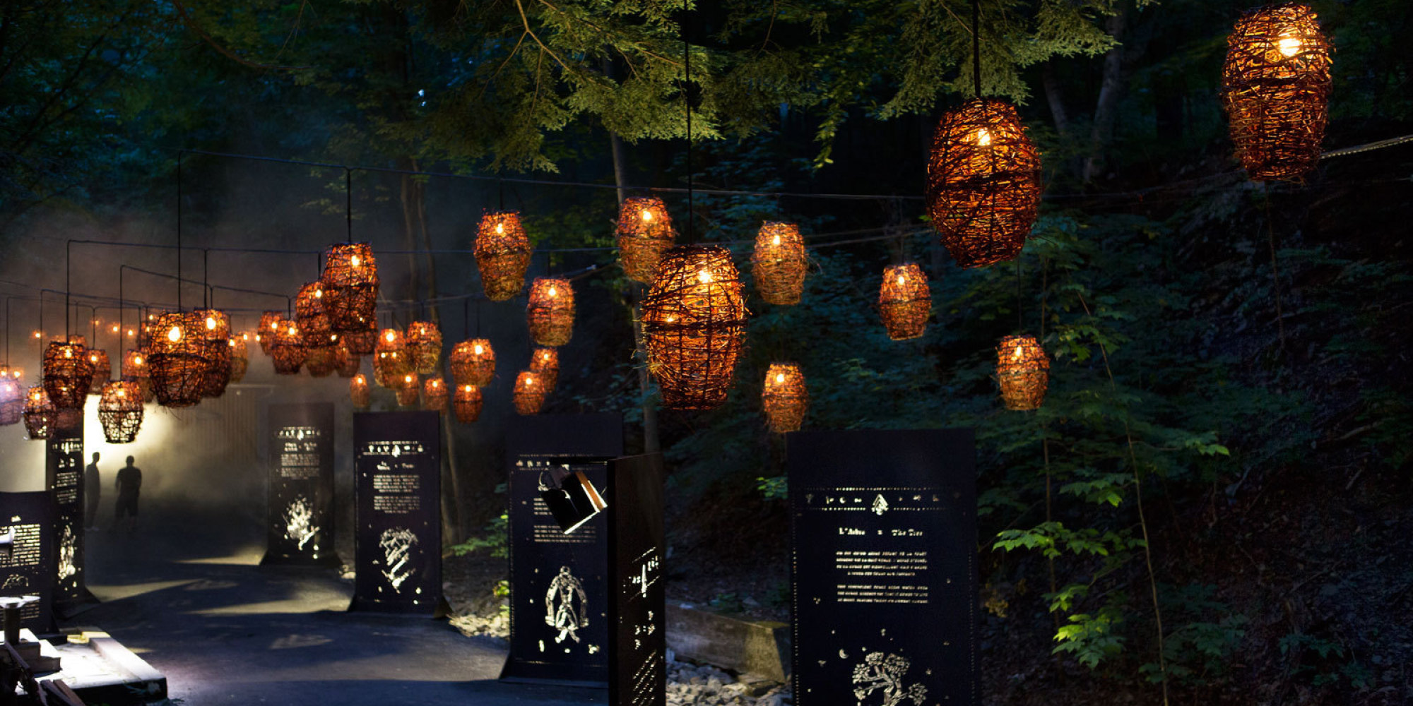 Foresta Lumina Balade magique en forêt (VIDÉO)