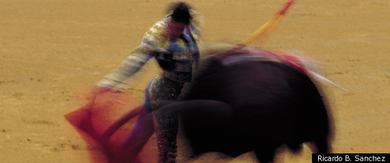 Bullfight