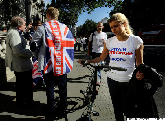 uk leave supporter