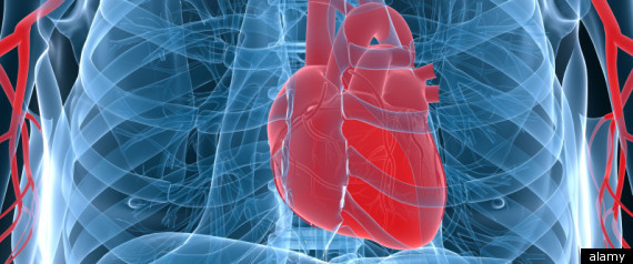 Stem Cell Treatment That Repairs Heart Damage
