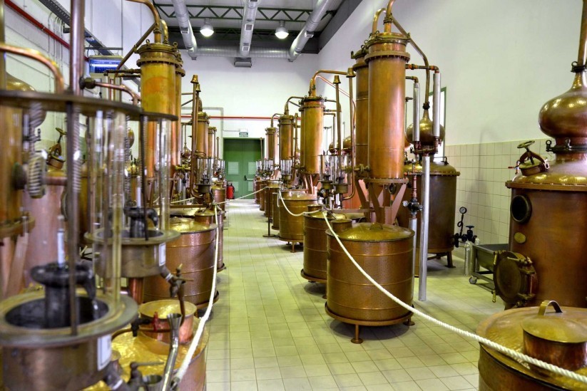 ouzo