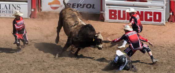 CALGARY STAMPEDE BULL RIDING