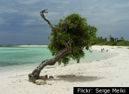American Tourist Drowns At Infamous Aruba Beach