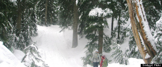 Mount Seymour