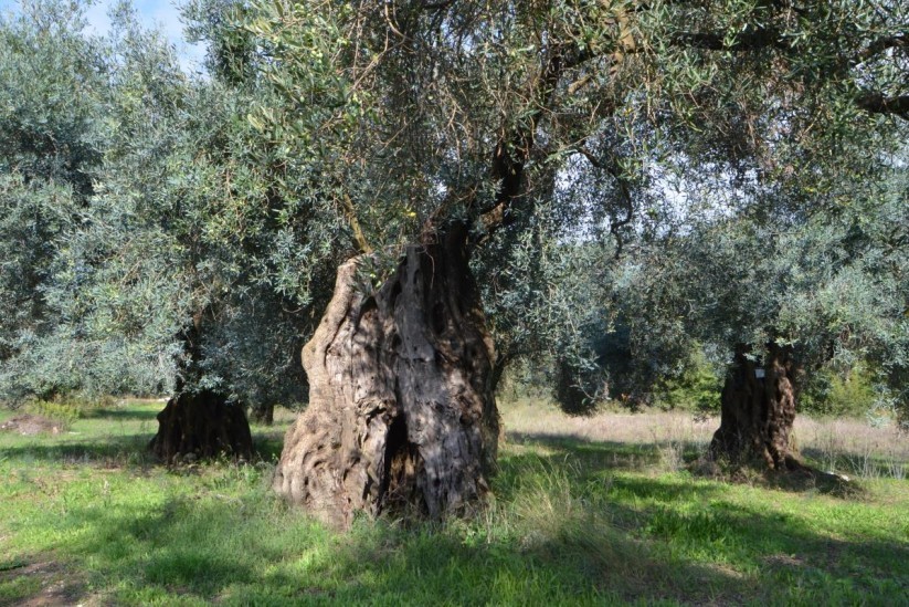 corfu