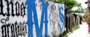 muro