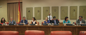 diputación perm xi legislatura