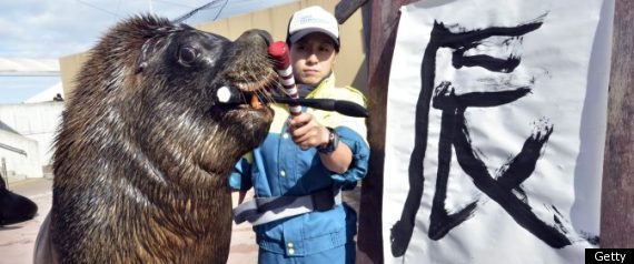 Pictures Of The Day 3 January