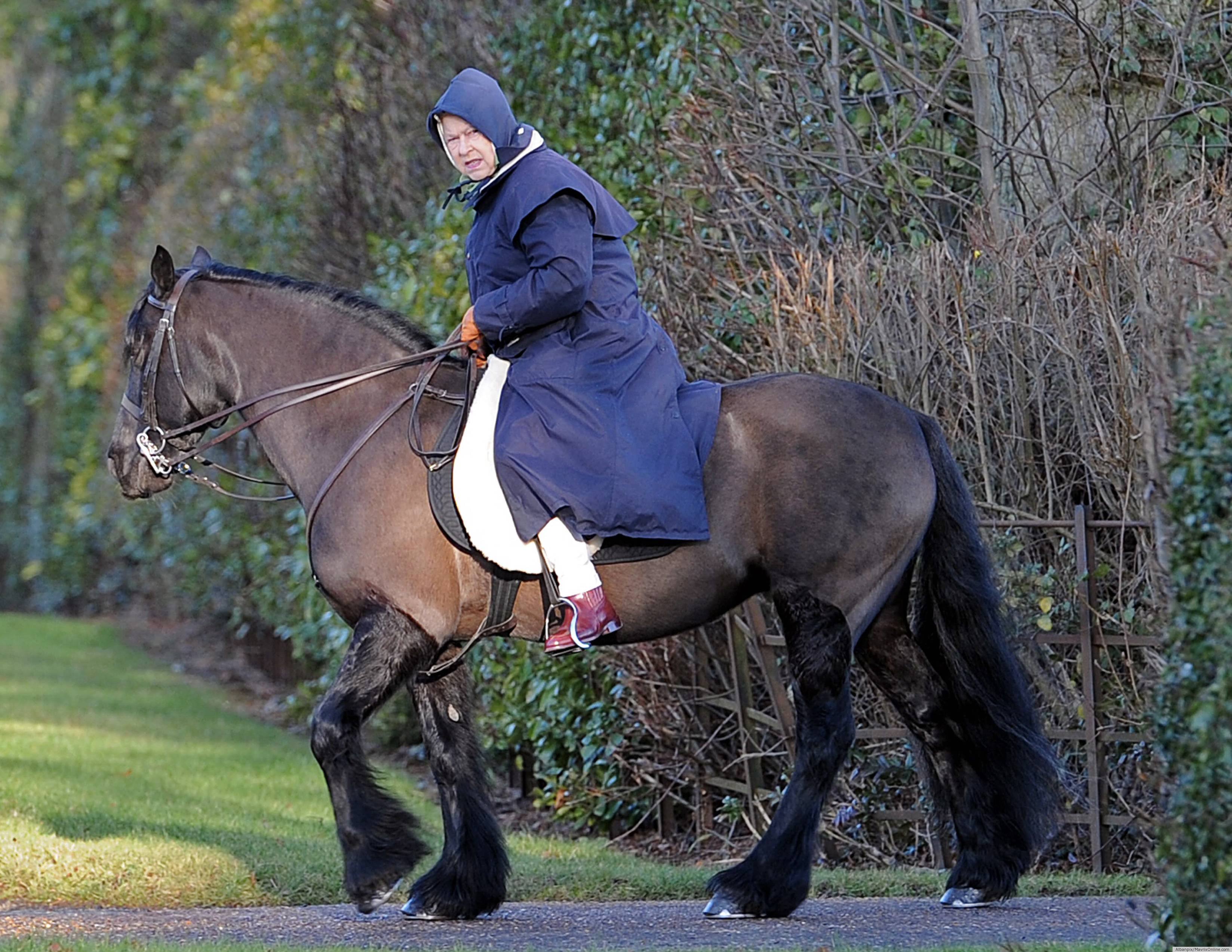 QUEEN-ELIZABETH-HORSE.jpg