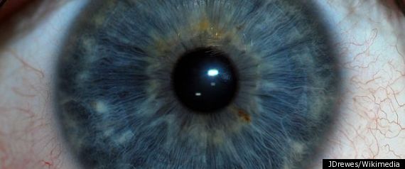 Retina Scan