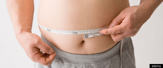 Protein Body Fat