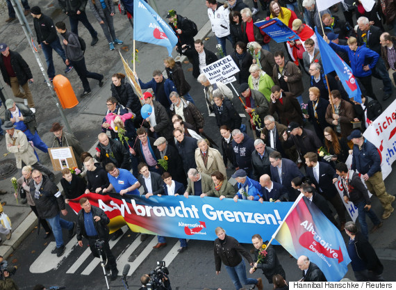germany afd support