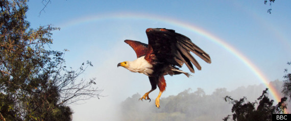 Earthflight