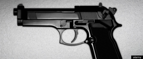 Gun Sales 2011