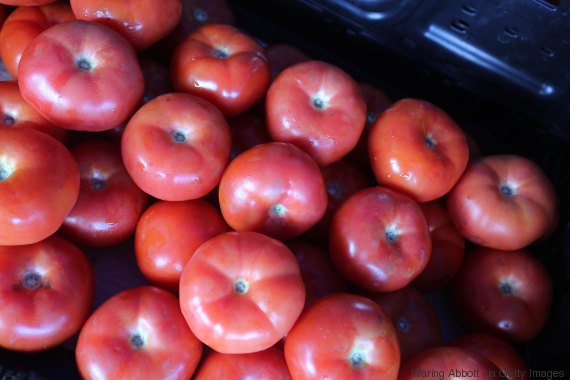 tomatoe