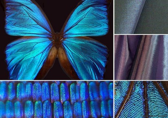 butterfly effect