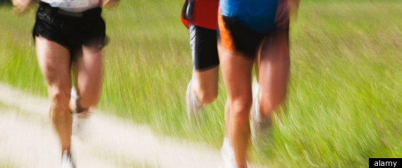 Exercise For Immunity