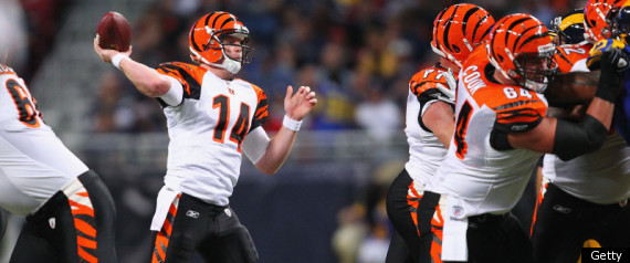 Bengals Texans Andy Dalton