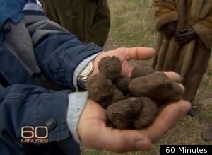 Truffles