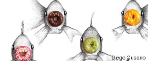 donutfish