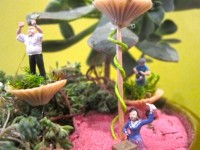 Button Garden