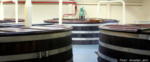 Glenfiddich Distillery