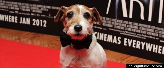 Uggie