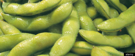 Omega6
