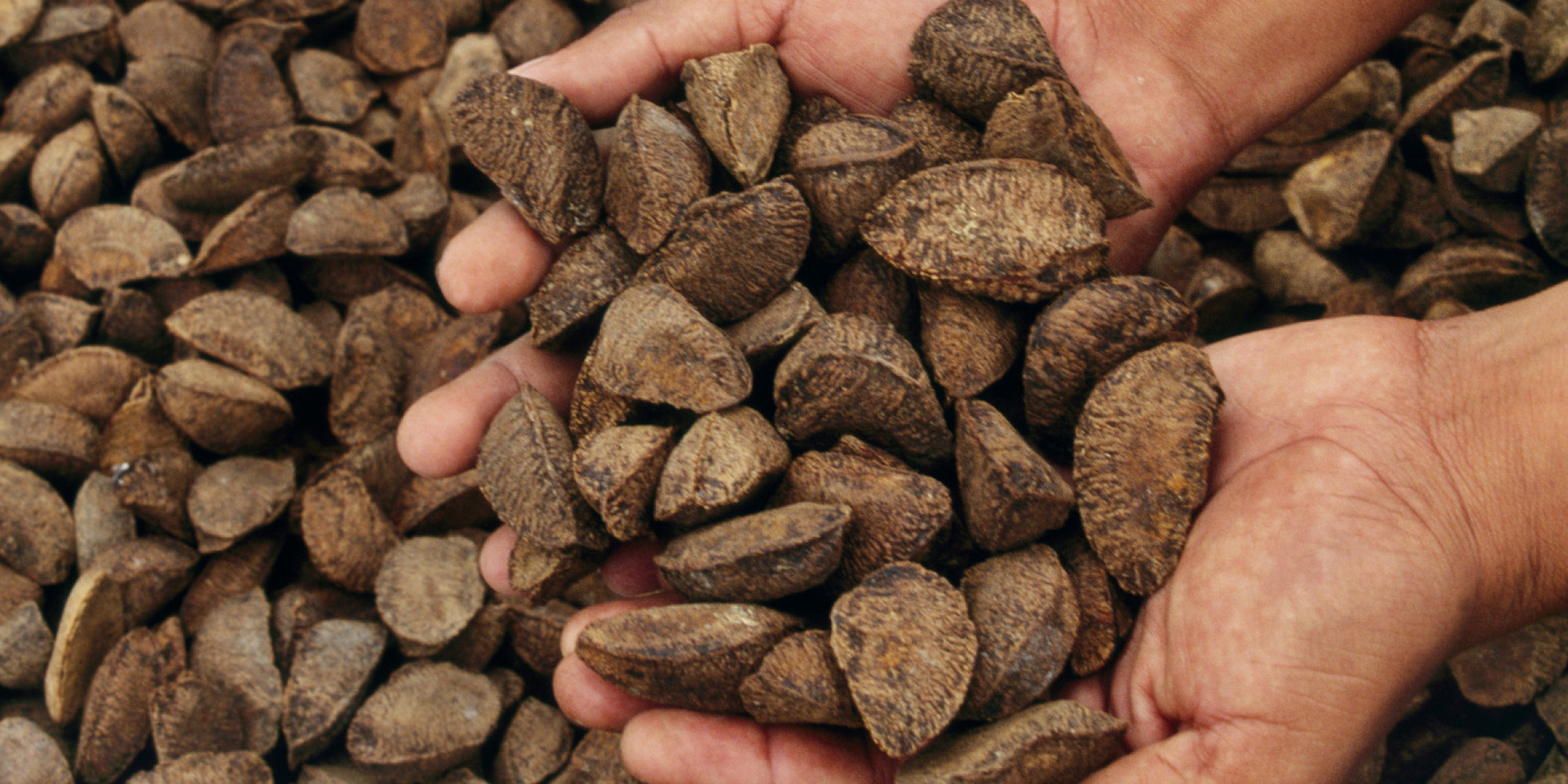 Turns Out Brazil Nuts Aren't Nuts. And They Usually Aren't Brazilian