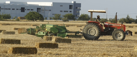 L'agriculture en Tunisie Un bilan annuel morose et un produit qui