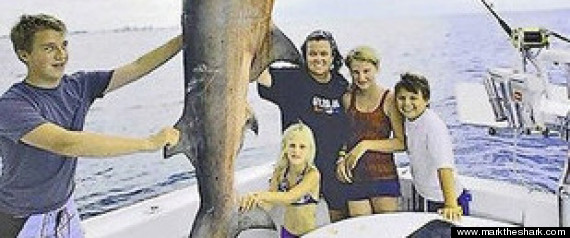 Rosieshark