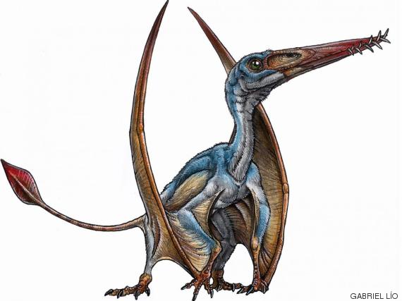 dinosaurio