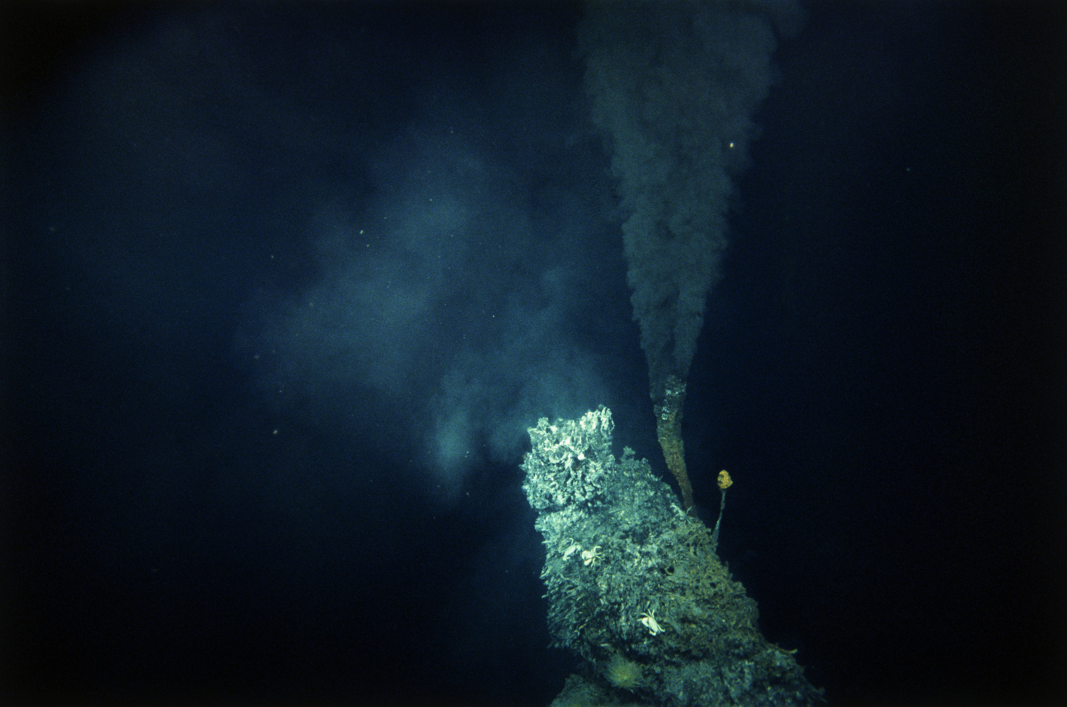 hydrothermal vent ocean