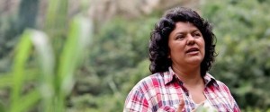 berta