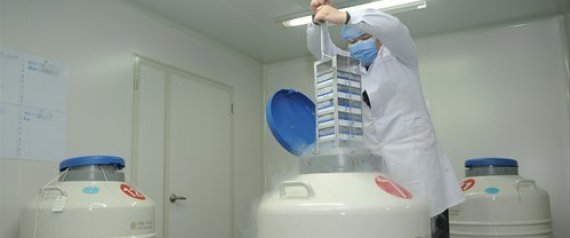 정자은행에 대한 이미지 검색결과