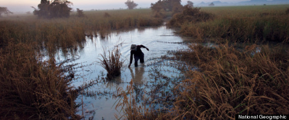 Cambodia Landmines