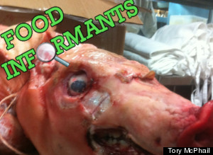 Piginformant