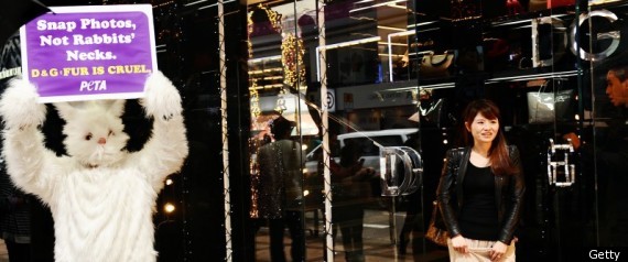 Hong Kong Dolce And Gabbana