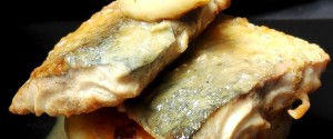 montado caballa