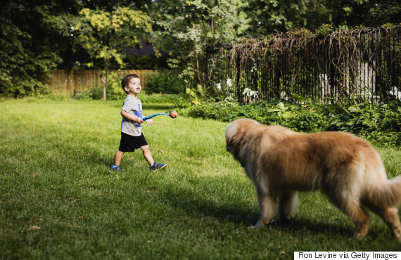 kids playing back yard