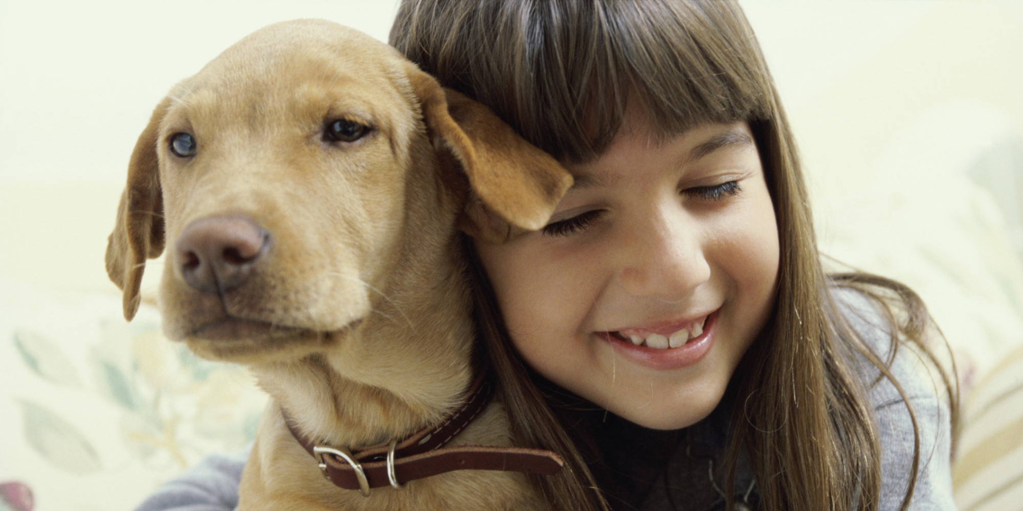 Contrary To Popular Opinion, Dogs Actually DO Understand Us HuffPost