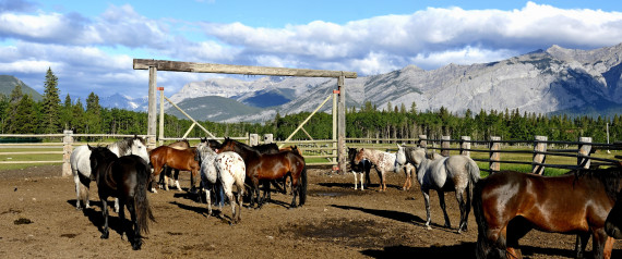 RAFTER SIX RANCH