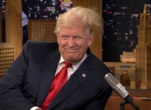Donald Trump Cheveux