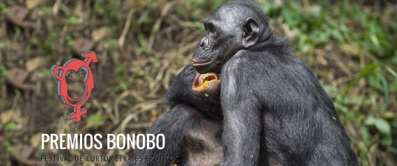 El festival de cine porno que pretende salvar a los bonobos