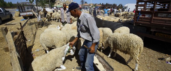 Aïd el Adha: Ouverture d'une enquête sur des viandes 