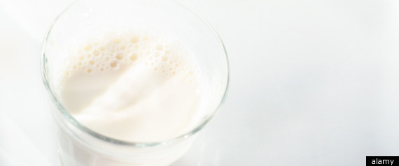 Milk Taste Test