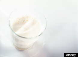 Which Milk Tastes Better: Organic or Regular?