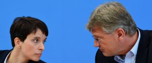 afd germany