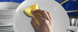 platos